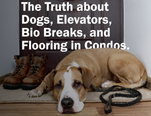 The Truth about Dogs, Elevators, Bio Breaks, and Flooring in Condos.